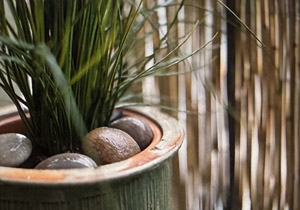 Blumentopf mit Psteinen und Pflanze